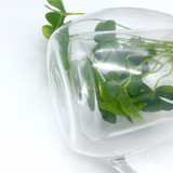 600ml coffee french press pot / glass insulation cup coffee tea french presses percolators coffee maker Metal filter press pot