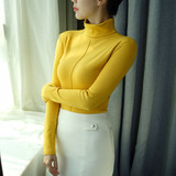 Korean Style Skinny Turtleneck