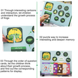 Science Toys, Life Cycle Of Frog, Animals & Plants Puzzles