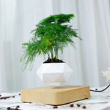 Levitating Plant Pots
