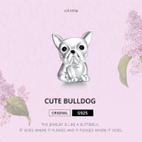 Cute Bulldog 925 Sterling Silver Charms