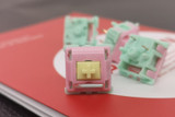 Gateron Watermelon Cream OEM Linear 62g Switches