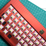 Gateron Watermelon Cream OEM Linear 62g Switches
