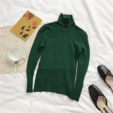 Thick Womens Sweater Knitted Ribbed Pullover Turtleneck Slim Jumper