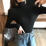 Thick Womens Sweater Knitted Ribbed Pullover Turtleneck Slim Jumper