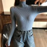 Thick Womens Sweater Knitted Ribbed Pullover Turtleneck Slim Jumper