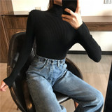 Thick Womens Sweater Knitted Ribbed Pullover Turtleneck Slim Jumper