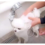Shower Suction Cup Holder (Set of 2)