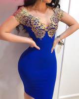 Contrast Lace Insert Bodycon Dress