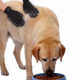 Pet Grooming Gloves