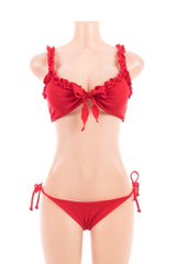 Blissful Bikini Red Bikini