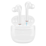 5.0 Wireless Bluetooth Earbuds