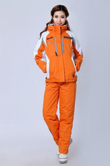 Womens Ski/Snowboard Suit