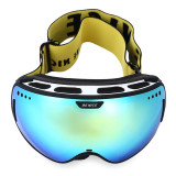 Be Nice Professional Ski/Snowboard Goggles