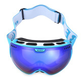 Be Nice Professional Ski/Snowboard Goggles