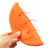 Flying Saucer Dog Toy
