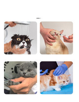 Cat Shoes | Anti Scratch Paw Cover