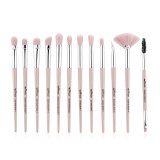 12 Piece Makeup Brush Set