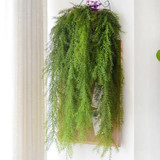 Green Pine Needle Plant Wall Decor
