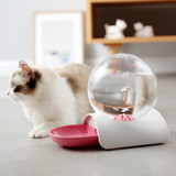 Automatic Bubble Water Dispenser
