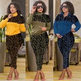 Women Leopard Print Two Piece Set