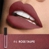 Waterproof Liquid Lipstick Velvet Lip