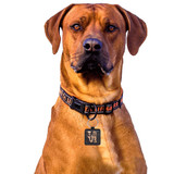 Snake Love Square Pet ID Tag