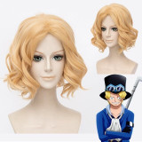 One Piece Sabo Cosplay Wig