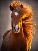 Diamond Painting Kit, Horse