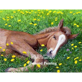 Diamond Painting Horse  Kit