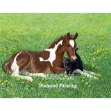 Diamond Painting Horse  Kit