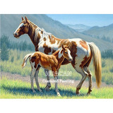 Diamond Painting Horse  Kit