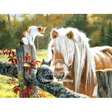 Diamond Painting Horse  Kit