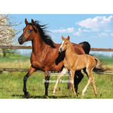 Diamond Painting Horse  Kit