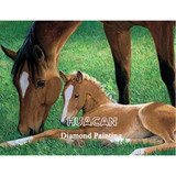 Diamond Painting Horse  Kit