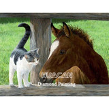 Diamond Painting Horse  Kit