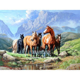 Diamond Painting Horse  Kit
