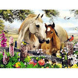 Diamond Painting Horse  Kit