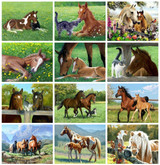 Diamond Painting Horse  Kit