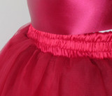 Vintage 50's Look Full Sheer TuTu Skirt Tulle Party Dress • One Size