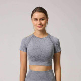 MEND Seamless VELOCITY Cropped Tee - Grey