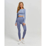 MEND VELOCITY Seamless Sleeved Crop - Light Grey