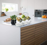 Premium Sprouting Kit Includes Unique 30 oz Wide Mouth Sprouting Jar, Stand, Tray and Sprouting Lid | Decorative Indoor Seed Sprouter and Germinator (1 Kit)