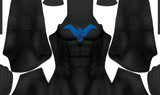 Nightwing V1