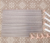 Stainless Steel Mosquito Netting Canopies Bed Frame/Post Twin Full Queen King Size