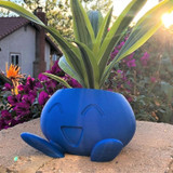Oddish Planter Succulent