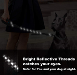 2 Feet Nylon Dog Leash