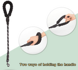 2 Feet Nylon Dog Leash