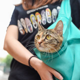 Foldable Cat Carrier Bag - Outdoor Travel Handbag