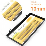 60pcs Professional Makeup Cluster EyeLash